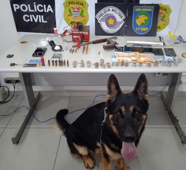 Foto 3 de 4 — Operação policial apreende drogas, arma e munições em Boa Esperança do Sul